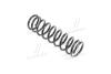 Пружина підв. CHERY KIMO/S12 07- передн. RIDER RD.34110118 (фото 1)