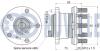 FORD К-кт подшипника ступицы с датчиком ABS KUGA II 13- RUVILLE 221854 (фото 2)