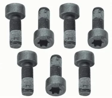 Болт з шестигранною головкою SACHS 1874 000 040
