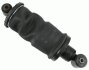 SACHS 314 041 (фото 1)