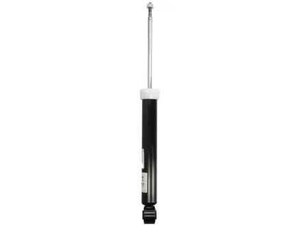 SACHS 315 439
