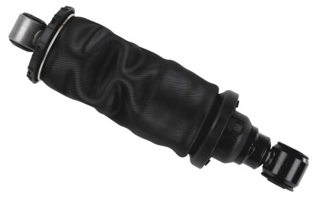 SACHS 318 599