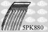 Поліклиновий ремінь SASIC 5PK880 (фото 1)