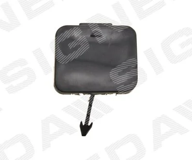 Заглушка гака BMW 5 (E39), 01.96 - 08.00 SIGNEDA PBM99000CA