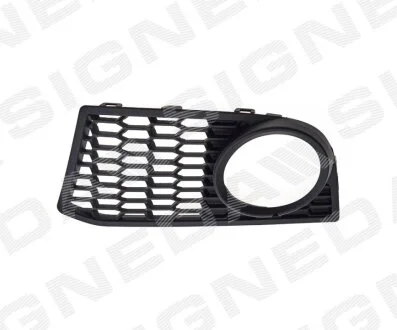 Решітка в бампер BMW 5 (F10/F11), 10 - 16 SIGNEDA PBM99079CAL
