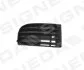 Решітка в бампер VW GOLF V, 03 - 08 SIGNEDA PVW99014GBR (фото 1)