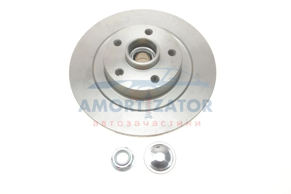 Диск гальмівний (комплект) SKF VKBD 1030 (фото 1)
