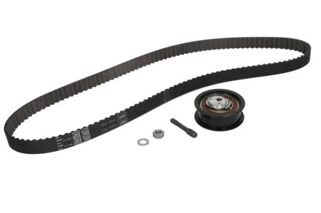 Комплект (ремінь+ролики) SKF VKMA 01015