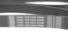 Комплект ременя генератора SKF VKMA 64114 (фото 11)