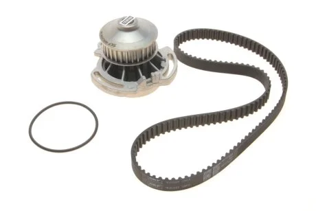 Комплект ГРМ, пас+помпа SKF VKMC 01103