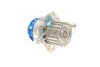 Комплект ГРМ, пас+ролик+помпа SKF VKMC 012502 (фото 6)