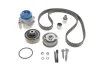 Комплект ГРМ, пас+ролик+помпа SKF VKMC 01251