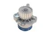 Комплект ременя ГРМ + помпа SKF VKMC 01251 (фото 4)