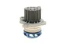 Комплект ГРМ, пас+ролик+помпа SKF VKMC 012551 (фото 6)