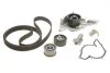 Комплект ГРМ, пас+ролик+помпа SKF VKMC 019031