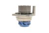 Комплект ГРМ, пас+ролик+помпа SKF VKMC 01918-2 (фото 7)