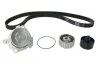 Комплект (ремінь+ролик+помпа) SKF VKMC 02181