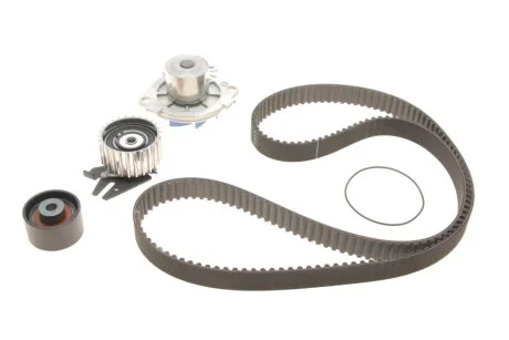 Комплект ГРМ, пас+ролик+помпа SKF VKMC 02194