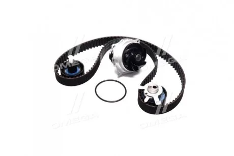 Комплект (ремінь+ролик+помпа) SKF VKMC 042141