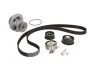 Комплект (ремінь+ролик+помпа) SKF VKMC 051522
