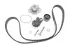 Комплект ГРМ, пас+ролик+помпа SKF VKMC 05194