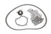 Комплект (ремінь+ролик+помпа) SKF VKMC 90008