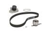 Комплект (ремінь+ролик+помпа) SKF VKMC 93005-2 (фото 1)