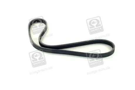 Доріжковий пас SKF VKMV 4PK855