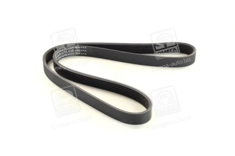 Доріжковий пас SKF VKMV 6PK1110