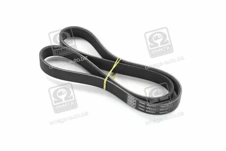 Ремінь поліклиновий SKF VKMV 6PK1117