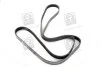 Доріжковий пас SKF VKMV 6PK2270 (фото 4)