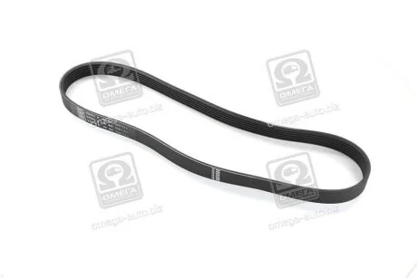 Ремінь поліклиновий SKF VKMV 6PK923