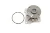 Водяний насос (Вир-во) SKF VKPC 95860 (фото 1)