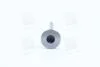 Клапан впускний OPEL 1,4 16V / 1,6 16V 31x6x103.1 (вир-во SM) SM MVI 8535614 (фото 4)