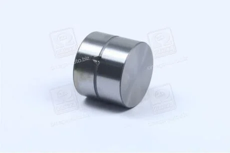 Гідрокомпенсатор FORD 2.0 DOHC (вир-во SM) SM MVI 9721018