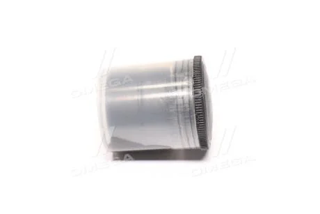 Гідрокомпенсатор VAG 1.4TDI/1.9TDI/2.0TDI/2.5TDI BRS/AXD (вир-во SM) SM MVI 9750038