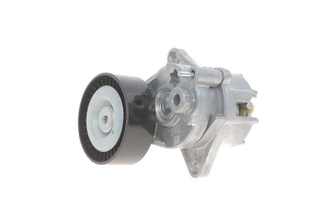 Натяжник ременя генератора SOLGY 110010