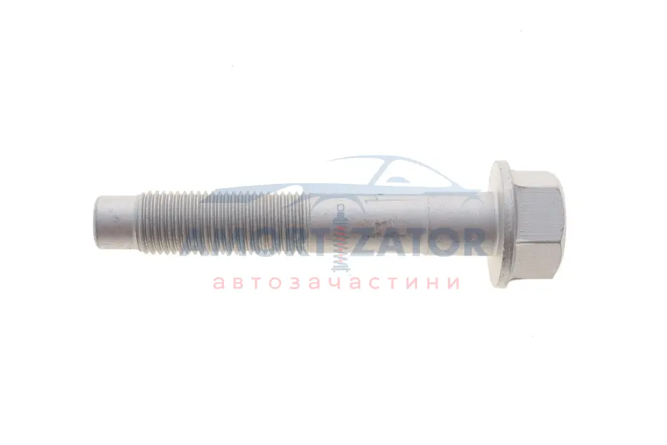 Болт з ексцентриком SOLGY 204218 (фото 1)