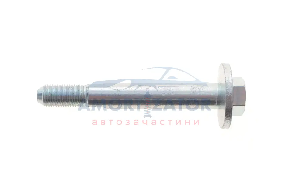 Болт з ексцентриком SOLGY 204236 (фото 1)