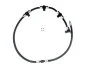 STARLINE DP ND5581 (фото 1)