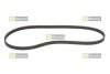 STARLINE SR 4PK1483 (фото 1)