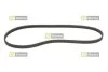 STARLINE SR 4PK1520 (фото 1)
