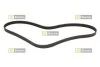 STARLINE SR 5PK1200 (фото 1)