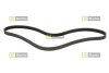 STARLINE SR 6PK2075 (фото 1)