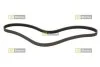 STARLINE SR 6PK913 (фото 1)