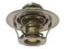 STARLINE TS T014.87 (фото 3)