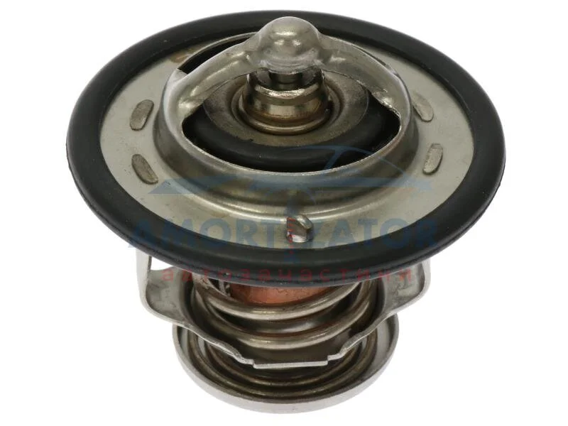 STARLINE TS T113.88T (фото 1)