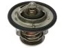 STARLINE TS T113.88T (фото 1)