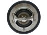 STARLINE TS T113.88T (фото 3)