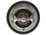STARLINE TS T113.88T (фото 3)